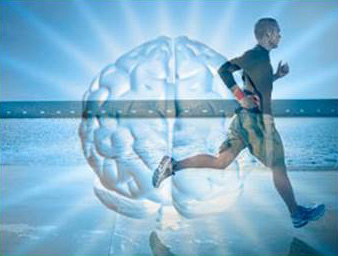 neurofeedback-deporte3